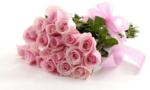 8 march