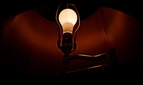 AlimenteAlma-lightbulb-804976