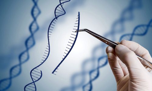 Bioetica
