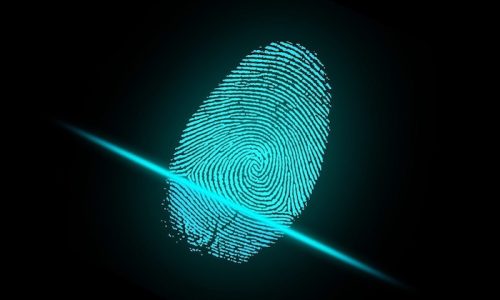Biometriafinger-2081169_