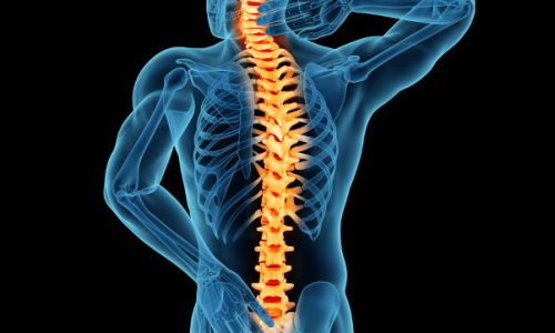 ColunaVertebral