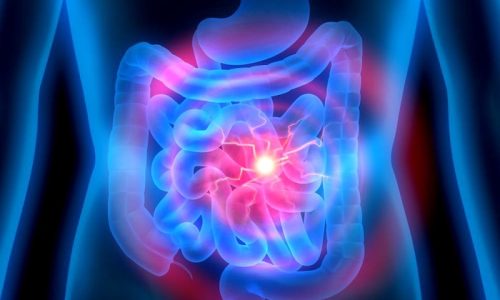 ComunicaçãoCerebrointestinal