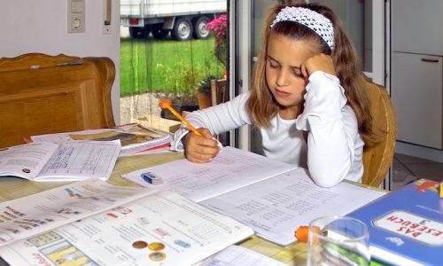 EscolaDesafioCriançasPais school-3994211