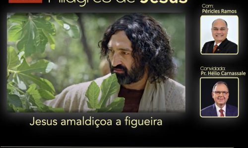 Jesus amaldiçoa a figueira.003